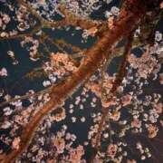 ゆな 桜 人妻熟女奉仕倶楽部