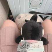 ヒメ日記 2025/05/14 12:50 投稿 ゆりの イエスグループ熊本 TSUBAKI(ツバキ)