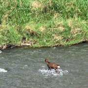 ヒメ日記 2025/09/15 14:56 投稿 ゆりの イエスグループ熊本 TSUBAKI(ツバキ)