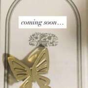 ヒメ日記 2025/10/22 00:42 投稿 ゆりの イエスグループ熊本 TSUBAKI(ツバキ)