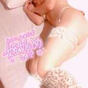 ヒメ日記 2026/01/29 16:41 投稿 ゆりの イエスグループ熊本 TSUBAKI(ツバキ)