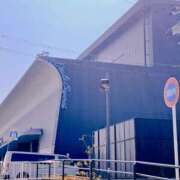 ヒメ日記 2026/02/13 11:59 投稿 ゆりの イエスグループ熊本 TSUBAKI(ツバキ)