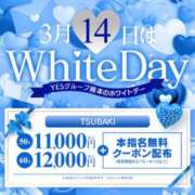 ヒメ日記 2026/03/14 06:39 投稿 ゆりの イエスグループ熊本 TSUBAKI(ツバキ)