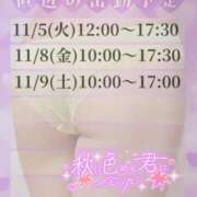 ヒメ日記 2024/11/02 20:01 投稿 美紀(みき) 渋谷蘭の会