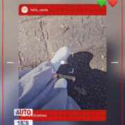 ヒメ日記 2024/12/15 15:21 投稿 美紀(みき) 渋谷蘭の会