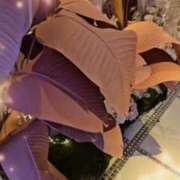 ヒメ日記 2024/12/18 12:30 投稿 美紀(みき) 渋谷蘭の会