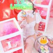 ヒメ日記 2025/01/15 15:21 投稿 美紀(みき) 渋谷蘭の会