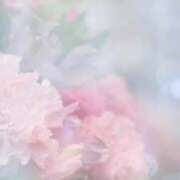 ヒメ日記 2025/01/26 09:21 投稿 美紀(みき) 渋谷蘭の会