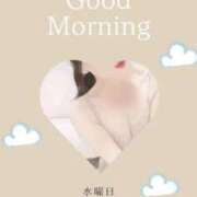 ヒメ日記 2025/02/19 08:11 投稿 美紀(みき) 渋谷蘭の会