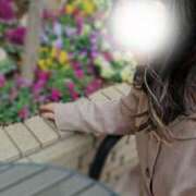 ヒメ日記 2025/03/07 11:41 投稿 美紀(みき) 渋谷蘭の会