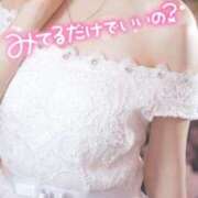 ヒメ日記 2025/03/11 19:31 投稿 美紀(みき) 渋谷蘭の会