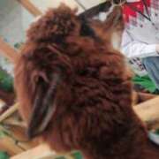 ヒメ日記 2025/03/13 12:21 投稿 美紀(みき) 渋谷蘭の会