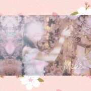 ヒメ日記 2025/03/15 17:32 投稿 美紀(みき) 渋谷蘭の会