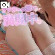 ヒメ日記 2025/03/17 17:31 投稿 美紀(みき) 渋谷蘭の会