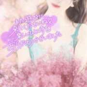 ヒメ日記 2025/03/18 12:21 投稿 美紀(みき) 渋谷蘭の会