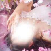 ヒメ日記 2025/03/19 15:21 投稿 美紀(みき) 渋谷蘭の会