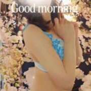 ヒメ日記 2025/03/20 09:41 投稿 美紀(みき) 渋谷蘭の会