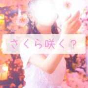 ヒメ日記 2025/03/20 17:31 投稿 美紀(みき) 渋谷蘭の会