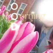 ヒメ日記 2025/03/21 08:21 投稿 美紀(みき) 渋谷蘭の会