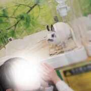 ヒメ日記 2025/03/21 18:51 投稿 美紀(みき) 渋谷蘭の会