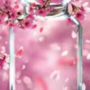 ヒメ日記 2025/03/25 15:21 投稿 美紀(みき) 渋谷蘭の会