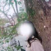 ヒメ日記 2025/03/25 17:31 投稿 美紀(みき) 渋谷蘭の会