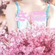 ヒメ日記 2025/03/27 08:11 投稿 美紀(みき) 渋谷蘭の会