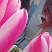 ヒメ日記 2025/03/29 12:21 投稿 美紀(みき) 渋谷蘭の会