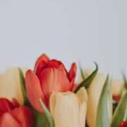 ヒメ日記 2025/03/31 15:21 投稿 美紀(みき) 渋谷蘭の会