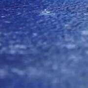 ヒメ日記 2025/04/01 10:41 投稿 美紀(みき) 渋谷蘭の会