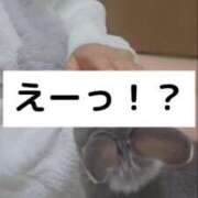 ヒメ日記 2025/04/03 12:21 投稿 美紀(みき) 渋谷蘭の会