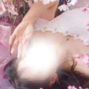 ヒメ日記 2025/04/05 09:21 投稿 美紀(みき) 渋谷蘭の会