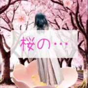 ヒメ日記 2025/04/06 09:30 投稿 美紀(みき) 渋谷蘭の会