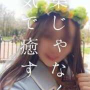 ヒメ日記 2025/04/06 17:51 投稿 美紀(みき) 渋谷蘭の会