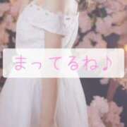 ヒメ日記 2025/04/13 20:01 投稿 美紀(みき) 渋谷蘭の会