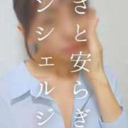 ヒメ日記 2025/04/13 21:41 投稿 美紀(みき) 渋谷蘭の会