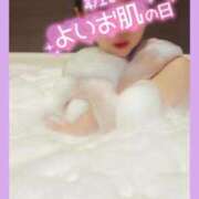 ヒメ日記 2025/04/18 21:02 投稿 美紀(みき) 渋谷蘭の会