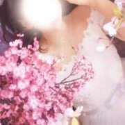 ヒメ日記 2025/04/20 18:41 投稿 美紀(みき) 渋谷蘭の会