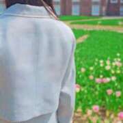 ヒメ日記 2025/04/25 15:41 投稿 美紀(みき) 渋谷蘭の会