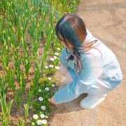 ヒメ日記 2025/05/08 08:01 投稿 美紀(みき) 渋谷蘭の会