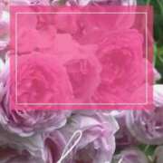 ヒメ日記 2025/05/11 11:02 投稿 美紀(みき) 渋谷蘭の会