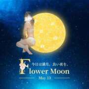 ヒメ日記 2025/05/13 04:11 投稿 美紀(みき) 渋谷蘭の会