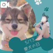 ヒメ日記 2025/05/13 12:35 投稿 美紀(みき) 渋谷蘭の会