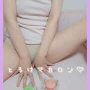 ヒメ日記 2025/05/27 04:31 投稿 美紀(みき) 渋谷蘭の会