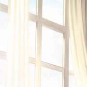 ヒメ日記 2025/06/16 08:21 投稿 美紀(みき) 渋谷蘭の会