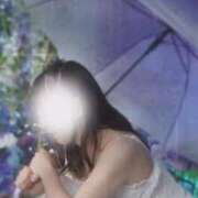 ヒメ日記 2025/06/25 15:31 投稿 美紀(みき) 渋谷蘭の会