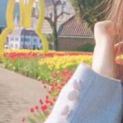 ヒメ日記 2025/06/26 08:21 投稿 美紀(みき) 渋谷蘭の会