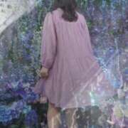 ヒメ日記 2025/06/26 15:31 投稿 美紀(みき) 渋谷蘭の会