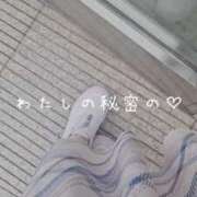 ヒメ日記 2025/07/16 18:21 投稿 美紀(みき) 渋谷蘭の会