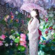 ヒメ日記 2025/07/30 17:51 投稿 美紀(みき) 渋谷蘭の会